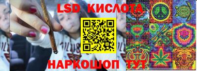 стаф Бузулук
