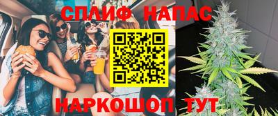 молекула духа Будённовск