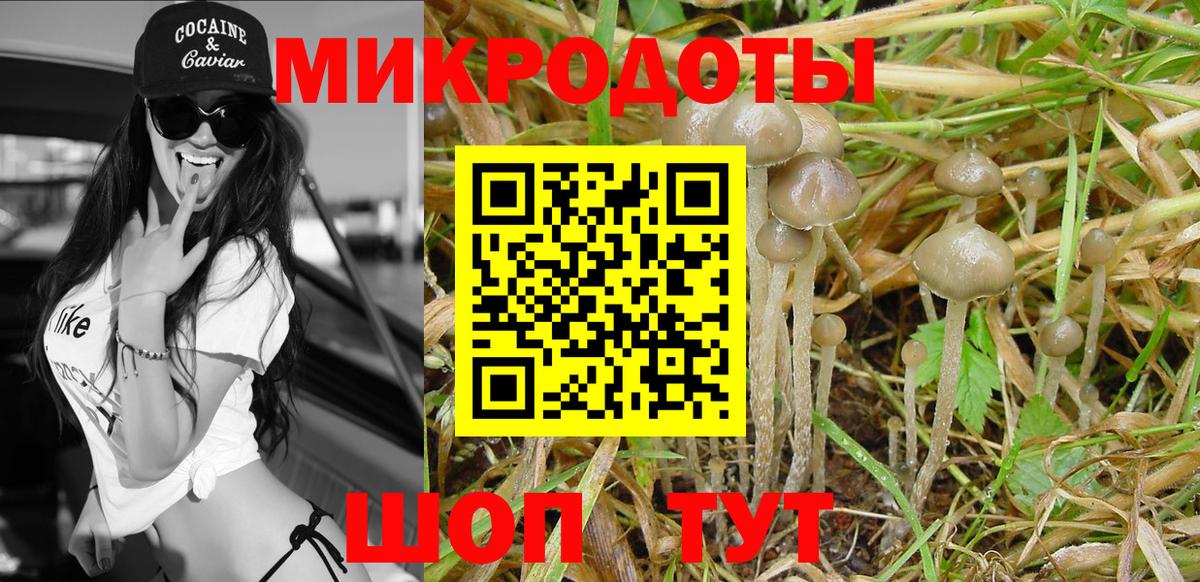 Псилоцибиновые грибы MAGIC MUSHROOMS Чайковский