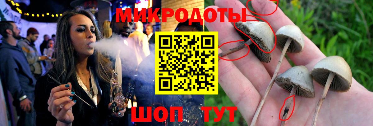 Галлюциногенные грибы MAGIC MUSHROOMS  Псилоцибиновые грибы ЛСД  Вход с VPN  Чайковский 